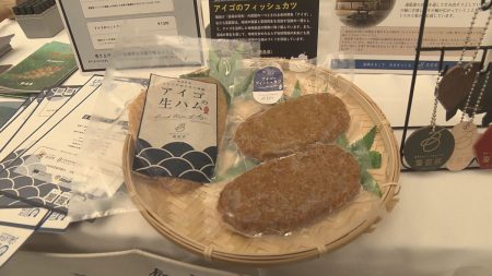 大阪・関西万博でPR　「アイゴ」を食べて海を守ろう【徳島】（2025年10月9日掲載）｜日テレNEWS NNN