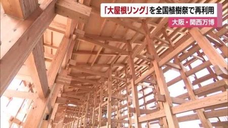 大阪・関西万博「大屋根リング」の木材パネル　松山で開催の全国植樹祭で再利用へ無償譲渡【愛媛】｜FNNプライムオンライン