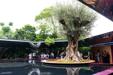 大阪・関西万博2025／ギネス世界記録™を生んだフランス館「奇跡の千寿オリーブ」 日本に継承へ | 美麗インターナショナル有限会社のプレスリリース