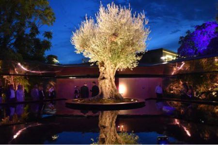 大阪・関西万博2025でギネス世界記録(TM) を生んだ《フランス館の千寿オリーブ》 ニナファームが入札式オークションを開催｜プレスリリース（愛媛新聞ＯＮＬＩＮＥ）記事詳細｜愛媛新聞ONLINE