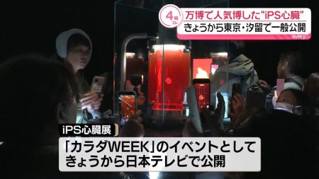 万博で人気の「iPS心臓」きょうから東京・汐留で一般公開（2025年11月4日掲載）｜日テレNEWS NNN
