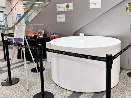 東大阪市役所の「ナウル共和国臨時パビリオン」、「ナウル台座」など追加 - 東大阪経済新聞