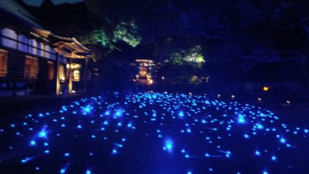 京都・ 青蓮院門跡 5年ぶりライトアップ 青く幻想的な光、星が降ってきたような…心安らぐ時を | ラジトピ ラジオ関西トピックス