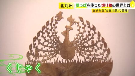 葉っぱを使った切り絵の世界　北九州市の「旧安川邸」で展覧会　大阪・関西万博でも展示されたアーティスト・リトさんの作品　12月15日まで｜福岡TNCニュース