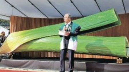 「下仁田ねぎ祭り」にぎわう　巨大なネギアートも　群馬・下仁田町 | 上毛新聞電子版｜群馬県のニュース・スポーツ情報