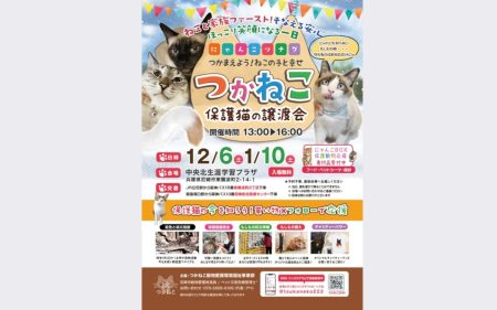 つかねこ譲渡会＆パネル展・チャリティーグッズ販売（1月）｜イベント｜徳島新聞デジタル