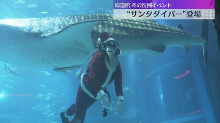 「かっこいい！」ジンベイザメと一緒に泳ぐサンタクロース　海遊館のクリスマスイベント　（2025年12月1日掲載）｜YTV NEWS NNN