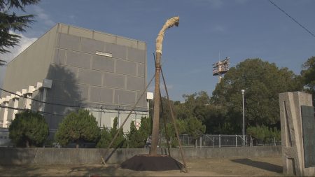 大阪・関西万博インドネシア館の木が尼崎に移植　記憶を後世に／兵庫県（サンテレビ） - Yahoo!ニュース