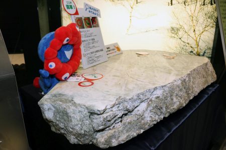 大阪・関西万博の“非公開ヒスイ”新潟ふるさと村に設置！「光ってて星みたい」12月11日から一般公開|47NEWS（よんななニュース）