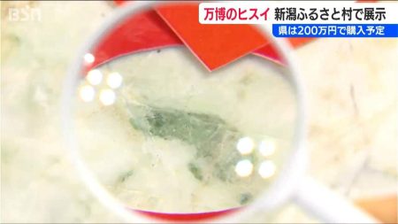 【大阪・関西万博】迎賓館でミャクミャクと共に各国要人を迎えた新潟県の石『ヒスイ』道の駅・新潟ふるさと村で展示 | 新潟のニュース・天気｜BSN NEWS｜BSN新潟放送