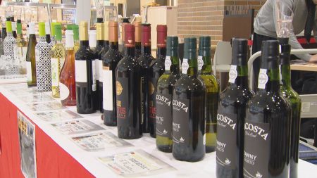 ポルトガルフェスタ　大阪・関西万博でも大人気のエッグタルトやポートワイン | 長崎ニュース | NCC長崎文化放送