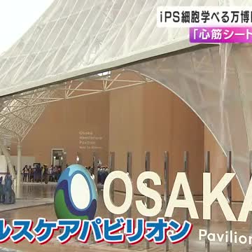 「心筋シート」など　ヘルスケアパビリオン展示物が一般公開（関西テレビ） - Yahoo!ニュース