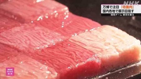 万博で注目「培養肉」各地の科学館展示費用をＣＦで募る 大阪 | NHKニュース