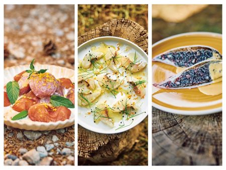 工程は最小限、美味しさは格別。俳優・速水もこみちさんが作る美しいキャンプ料理を自宅でも | サライ.jp｜小学館の雑誌『サライ』公式サイト