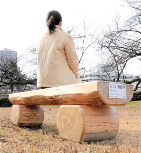 万博の関西パビリオン前に設置…福井県産木材のベンチ、福井城址へ移設　注目集めたフクイラプトル模型も県こども家族館に | 社会 | 福井のニュース | 福井新聞ONLINE