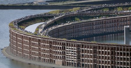 大阪万博の大屋根リング木材、高知県に一部「帰還」　再利用・展示へ - 日本経済新聞