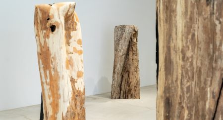 「国松希根太 連鎖する息吹」（十和田市現代美術館）レポート。巨木に「第二の人生」を与える彫刻家の美術館初個展｜Tokyo Art Beat