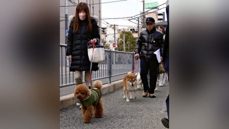 愛犬 の 散歩中 に子ども見守る「 わんわんパトロール隊 」 小隊長 に 200匹任命 : 読売新聞