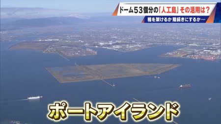 橋のない名古屋港の「人工島」どこから入る？見た目は野球のホームベース…ドーム53個分の土砂捨て場は“宝の島”か | TBS NEWS DIG (5ページ)