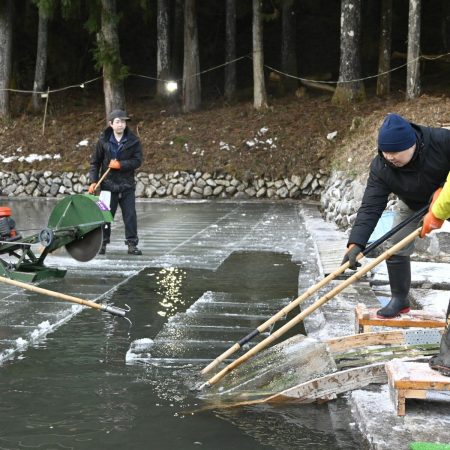 日光の冬の恵み、ことしも品質良く　蔵元「松月氷室」で天然氷の切り出し作業｜県内主要,地域の話題,経済｜下野新聞デジタルニュース｜下野新聞デジタル