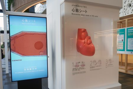 深層断面／関西医療、産学連携で飛躍　万博のレガシー具現化 | 日刊工業新聞 電子版