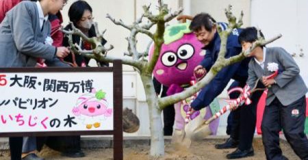 オマーンからイチジクの木 | カナロコ by 神奈川新聞