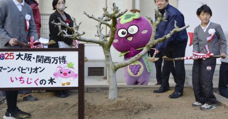 大阪・関西万博、オマーン館のイチジクの木が小学校に　大阪・羽曳野 - 産経ニュース