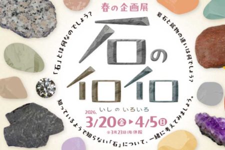 春の企画展「石のイロイロ」開催決定！