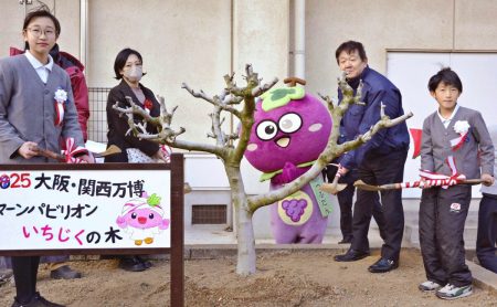 オマーンからイチジクの木　万博で展示　大阪の小学校へ　 | 沖縄タイムス＋プラス