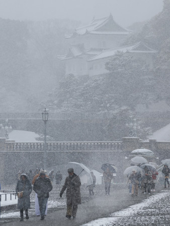 雪の皇居前 - 大阪ベイ経済新聞
