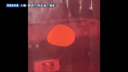 世界初 iPS細胞の再生医療が実用化へ 重症心不全とパーキンソン病が対象 - サンテレビニュース