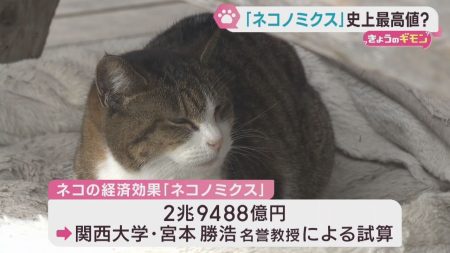 ネコノミクス　猫の経済効果が過去最大に | khb東日本放送