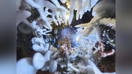 海を救う人工サンゴ、関西大が地球温暖化などで死滅が進む本物を再生する研究を実施…「２０３０年のサウジ・リヤド万博で披露」 : 読売新聞