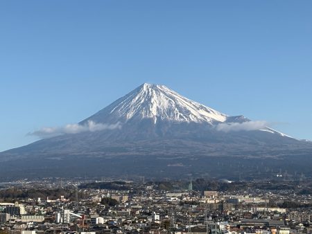「ロンドンにも神社があったらいいのに」日本人女性の思いがきっかけに　清水からロンドンへ海を渡る神輿 - LOOK 静岡朝日テレビ