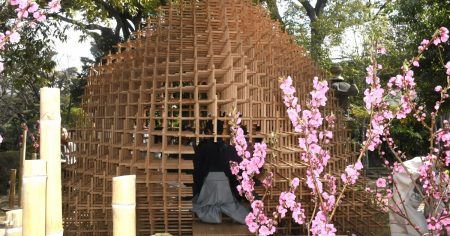 パンダが食べ残した竹使った茶室、大阪・五風荘に　移設も可能 | 毎日新聞