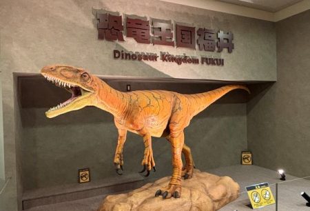 【3月29日まで受け付け中】福井県恐竜グッズを計20人に｜京都新聞デジタル　京都・滋賀のニュースサイト