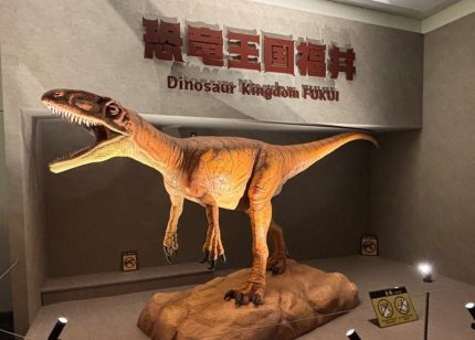 万博の福井県ゾーンが進化して“帰還”　大人気を博した恐竜コンテンツを福井県こども家族館に移設 | 地域 | 株式会社 共同通信社