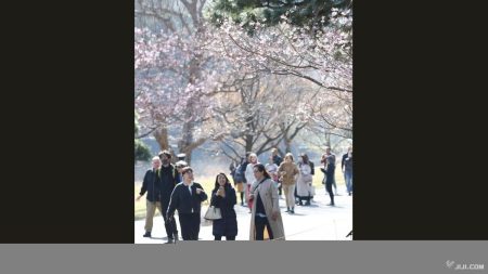 春の乾通り、一般公開始まる　皇居、２９日まで：時事ドットコム