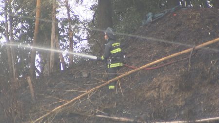 枯れ草を焼いていた火が広がる　山林火災で親子が火傷　竹田市・大分 | TOSオンライン